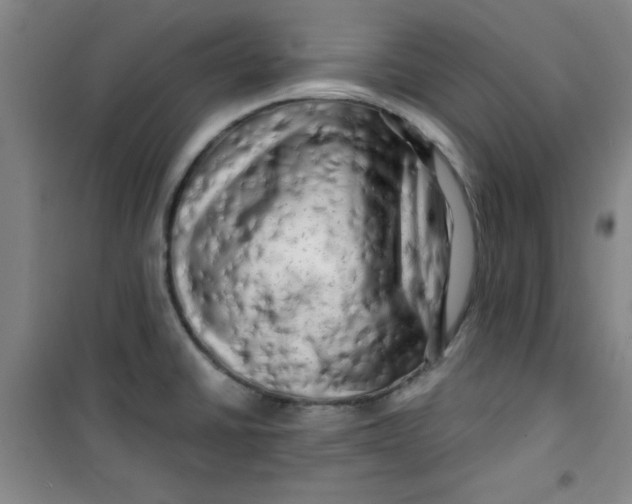 X0000100971430200807151341