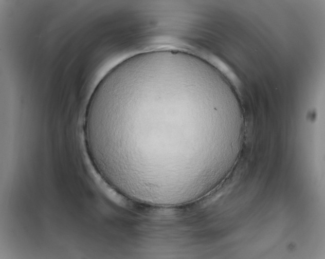 X0000100971431200807151341