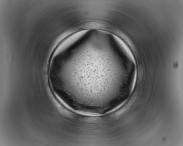 X0000100971434200807151341