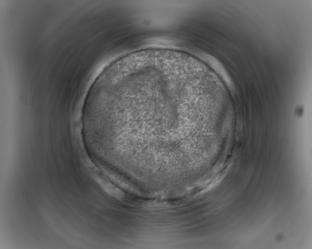 X0000100971435200807151341