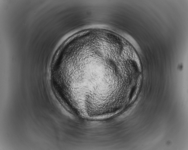 X0000100971436200807151341