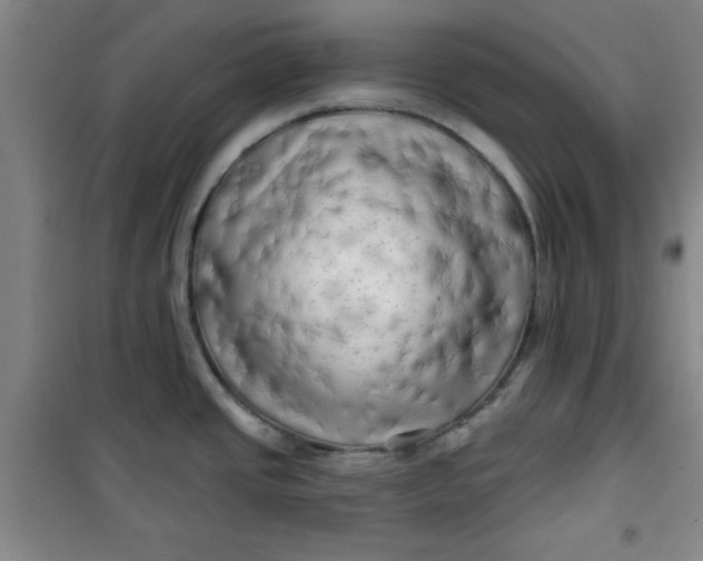 X0000100971437200807151341