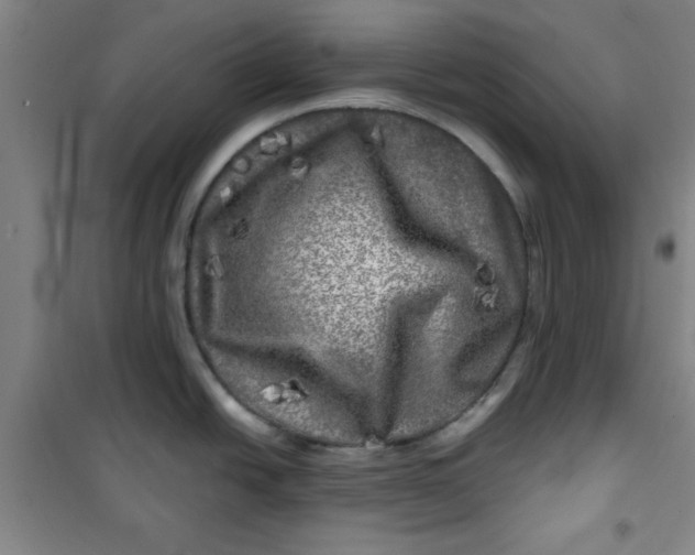 X0000100971438200807151341