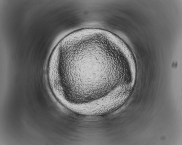 X0000100971440200807151341