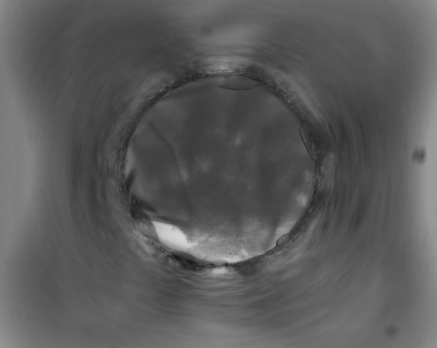 X0000100971441200807151340