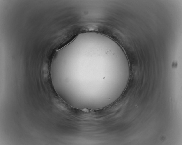 X0000100971442200807151340
