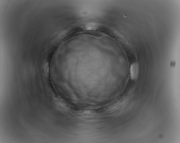 X0000100971443200807151340