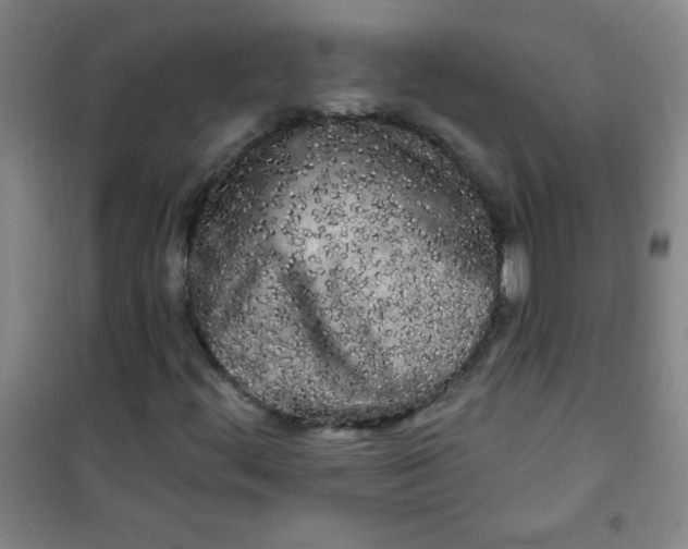 X0000100971444200807151340