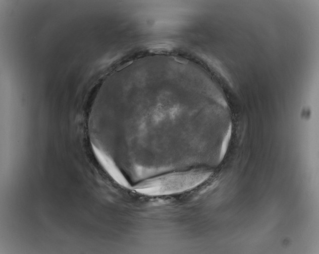 X0000100971445200807151340