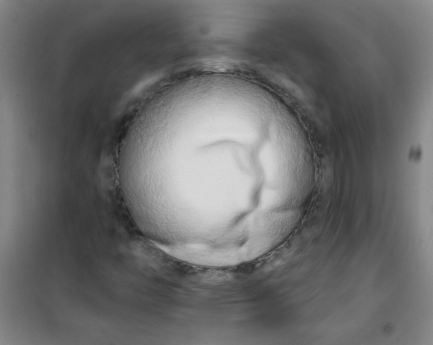 X0000100971446200807151340