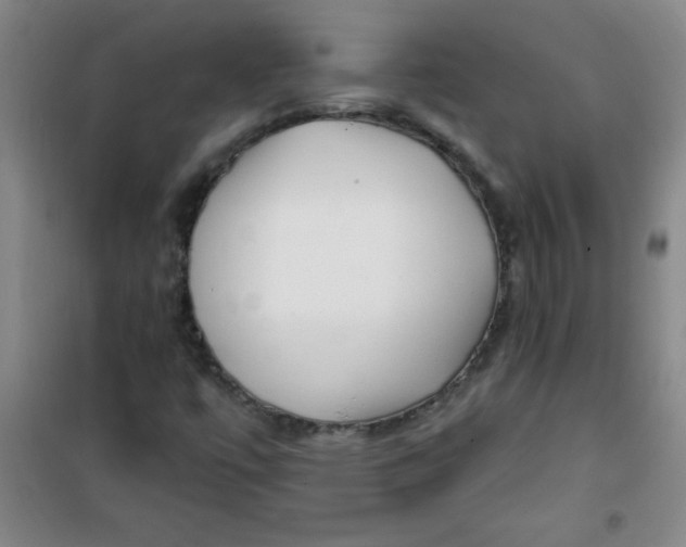 X0000100971447200807151340