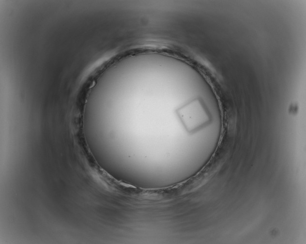 X0000100971448200807151340