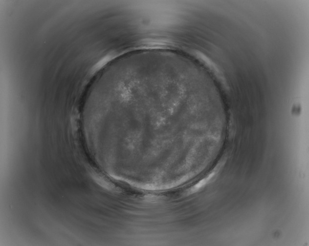 X0000100971449200807151340