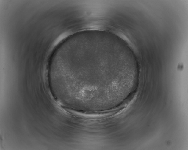 X0000100971450200807151340