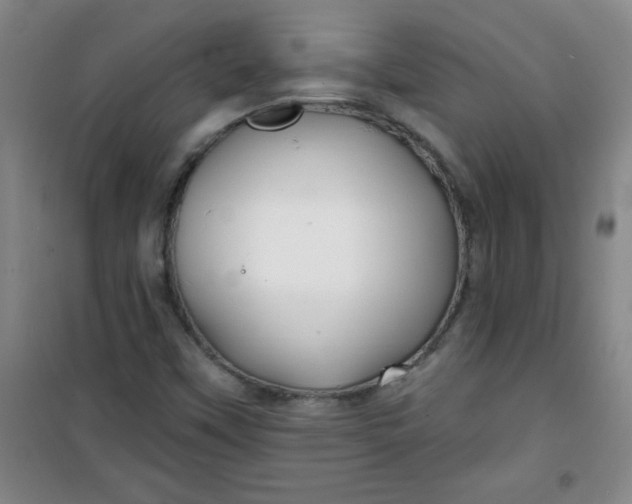 X0000100971451200807151340