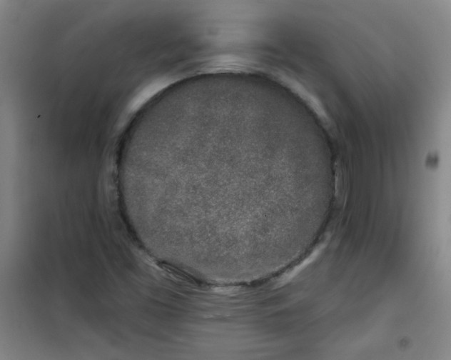 X0000100971453200807151340