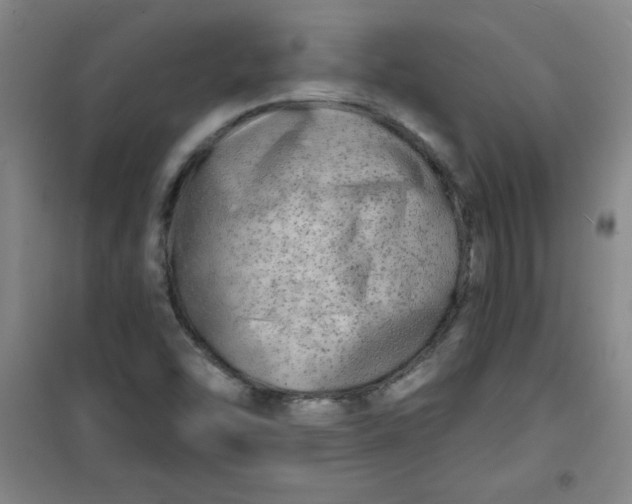 X0000100971454200807151340