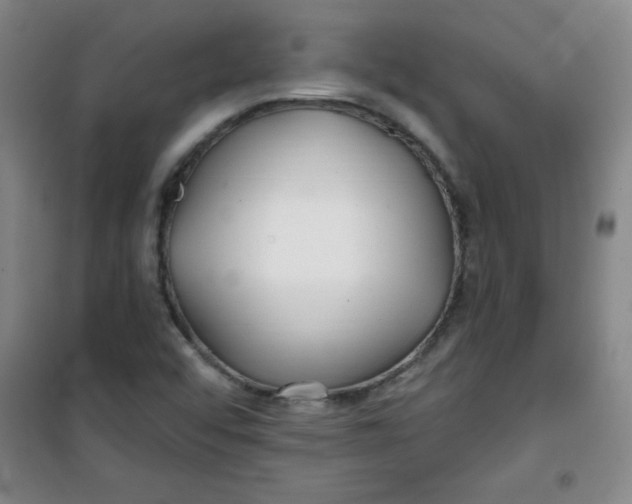 X0000100971456200807151340
