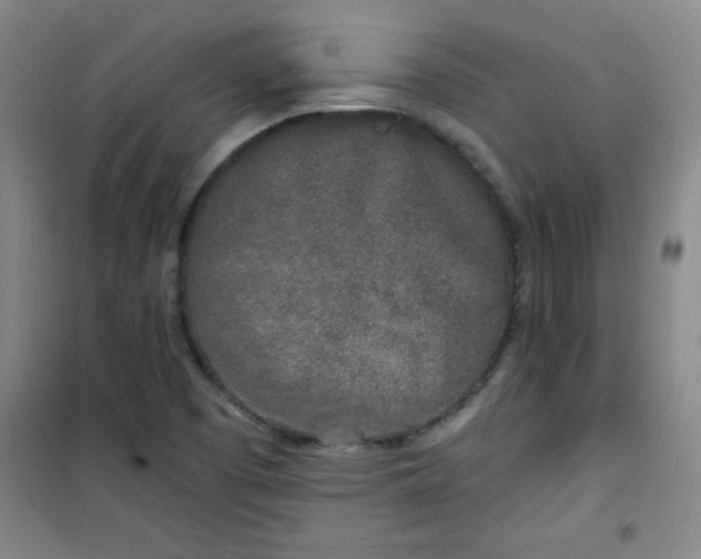 X0000100971457200807151340