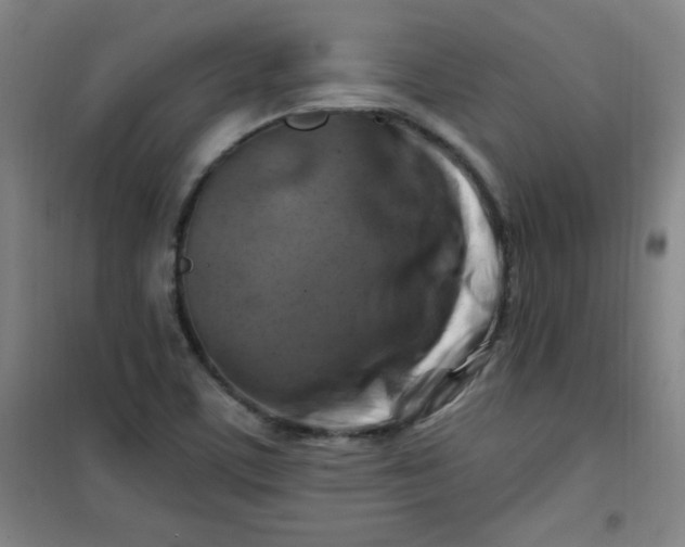 X0000100971459200807151340
