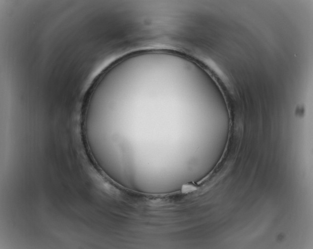 X0000100971460200807151340