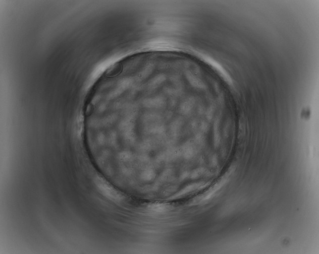 X0000100971461200807151340