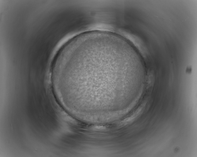 X0000100971462200807151340