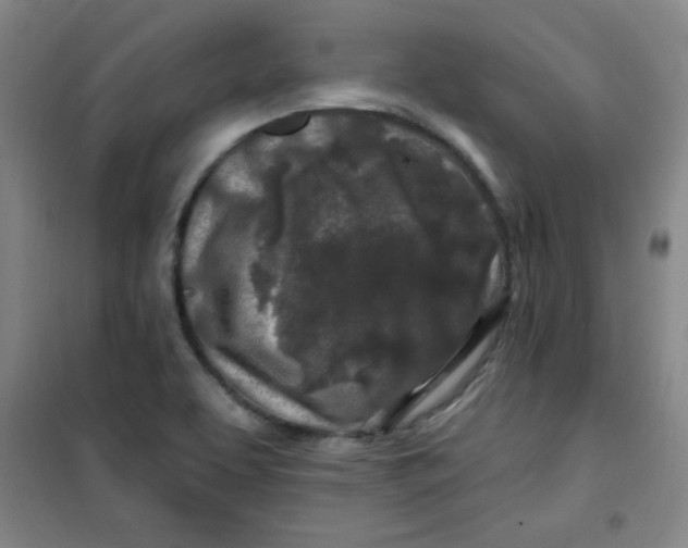 X0000100971463200807151340