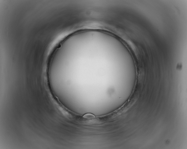 X0000100971464200807151340