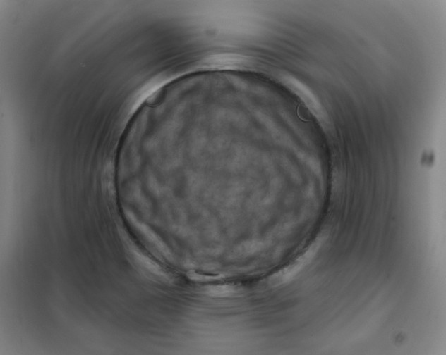 X0000100971465200807151340