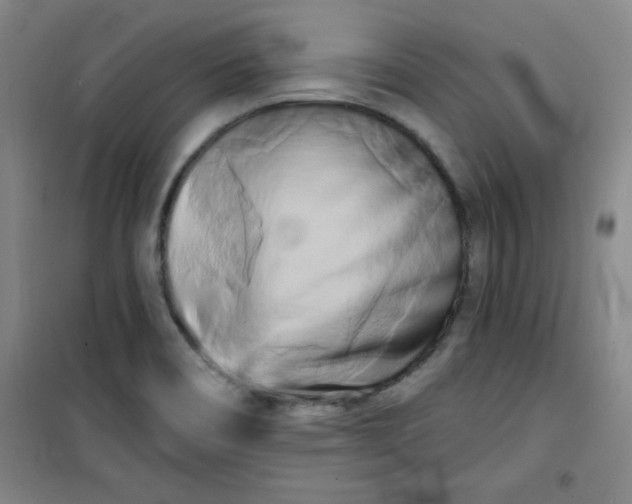 X0000100971466200807151340
