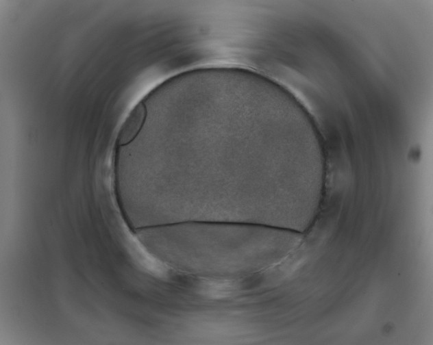 X0000100971468200807151340