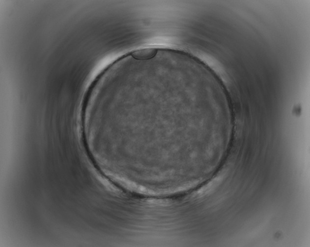 X0000100971469200807151340