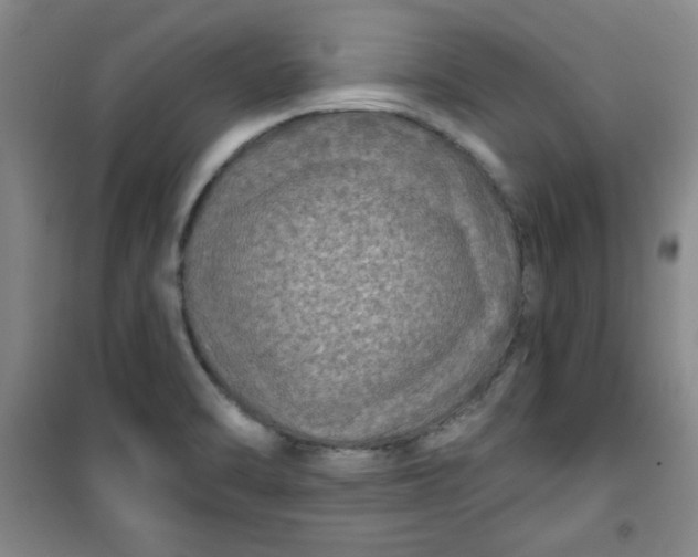 X0000100971470200807151340