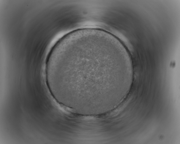 X0000100971472200807151340