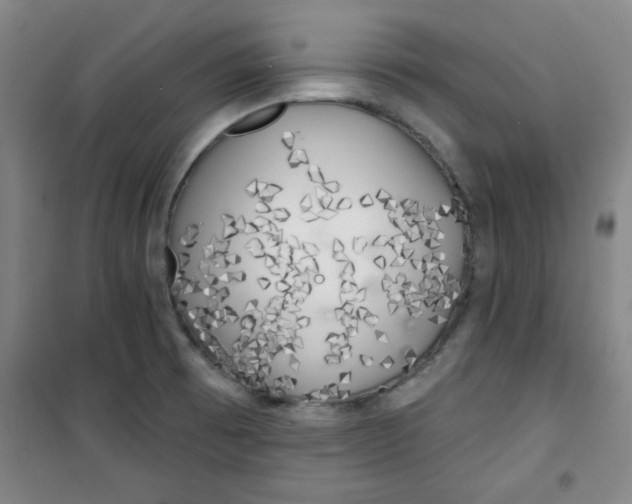 X0000100971473200807151340
