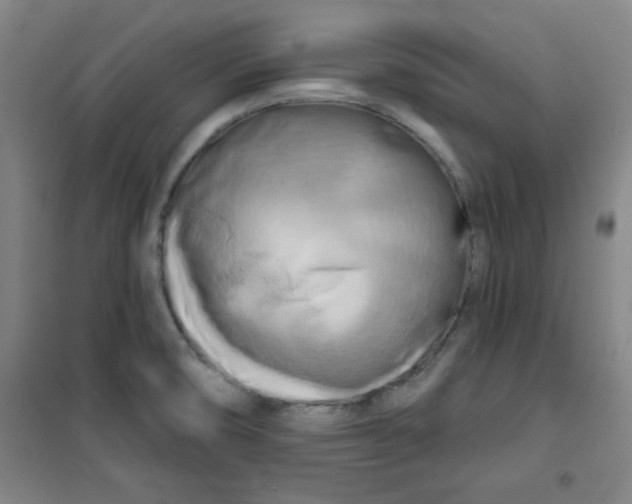 X0000100971474200807151340