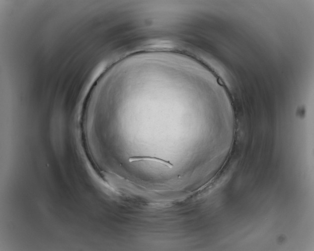 X0000100971475200807151340