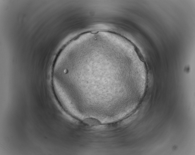 X0000100971477200807151339