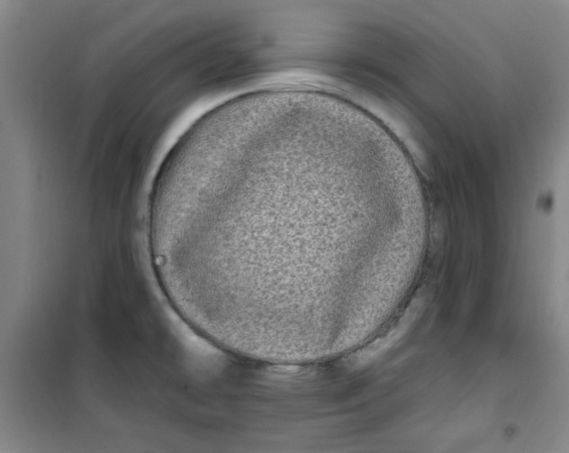X0000100971478200807151339