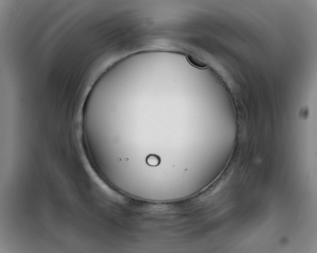 X0000100971479200807151339