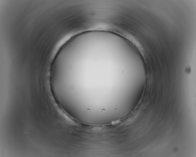 X0000100971480200807151339