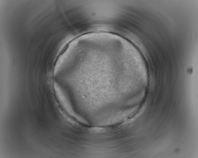 X0000100971481200807151339