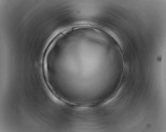 X0000100971482200807151339