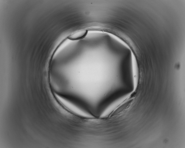 X0000100971483200807151339