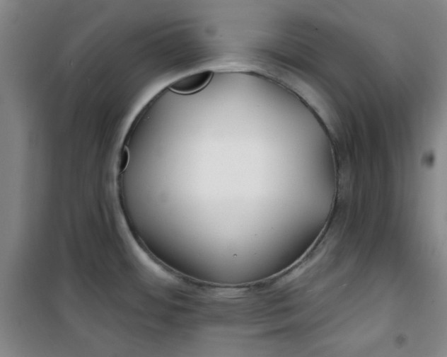 X0000100971484200807151339
