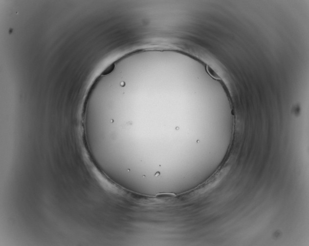 X0000100971485200807151339