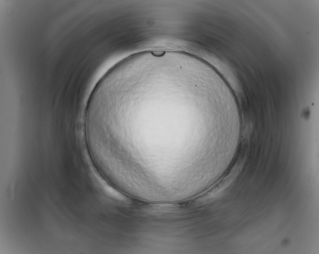X0000100971486200807151339