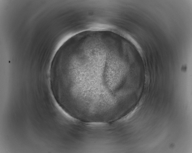 X0000100971487200807151339