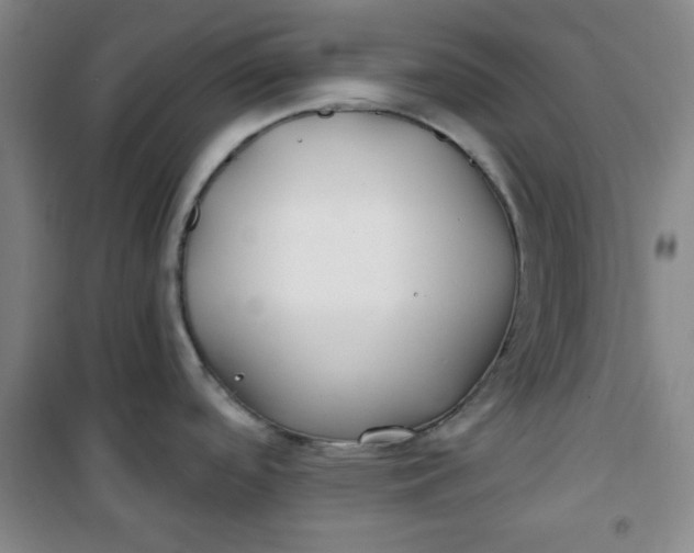 X0000100971488200807151339